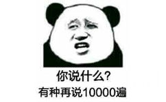 你说什么?有种再说10000遍