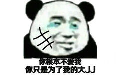 你只是为了我的大JJ