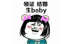 领证结婚生baby