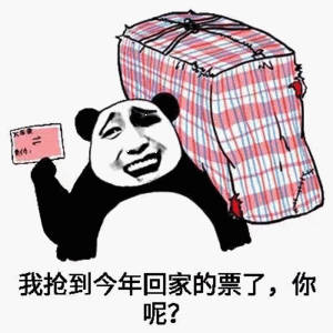 我抢到今年回家的票了，你呢?