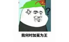 我何时加冕为王