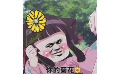 你的菊花