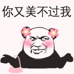 你又美不过我