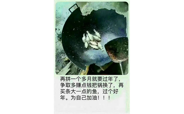 再拼一个多月就要过年了，争取多赚点钱把锅换了，再买条大一点的鱼，过个好年。为自己加油!!!