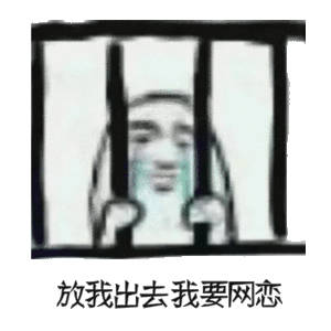 放我出去我要网恋