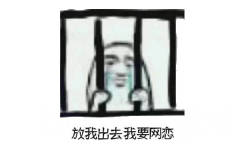 放我出去我要网恋