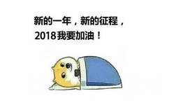 新的一年，新的征程，2018我要加油!