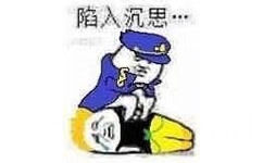 陷入沉思…