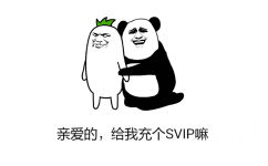 亲爱的，给我充个SVIP嘛