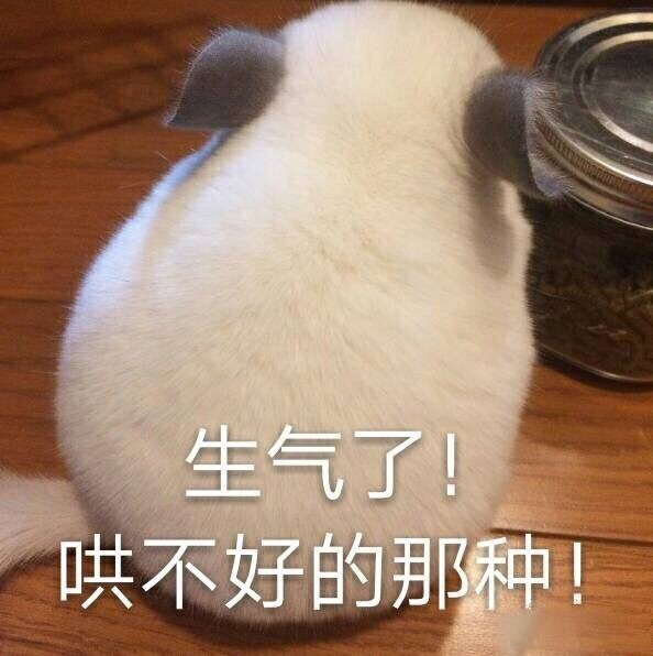 哄不好的那种！