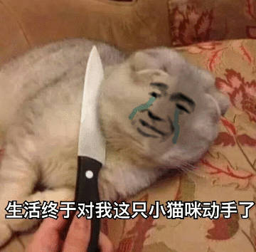 生活终于对我这只小猫咪动手了