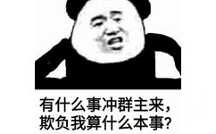 有什么事冲群主来，欺负我算什么本事？