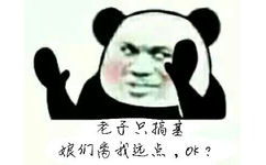 老子只搞基，娘们离我远点，ok？