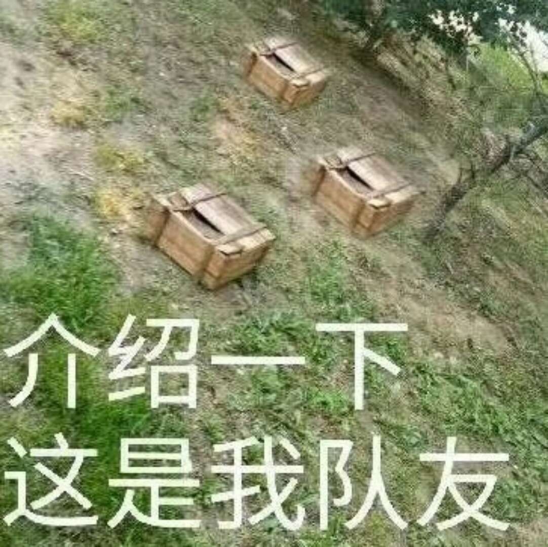 这是我队友