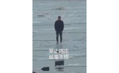 举止端庄，丝毫不慌