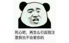 死心吧，再怎么引起我注意我也不会爱你的