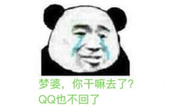 梦婆，你干嘛去了？QQ也不回了