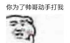 你为了帅哥动手打我