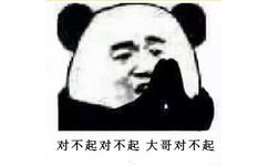 对不起对不起大哥对不起