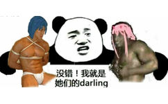 没错！我就是她们的 darling