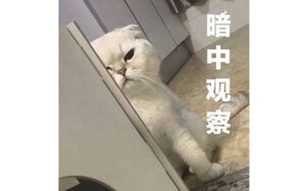 暗中观察