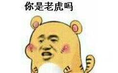 你是老虎吗