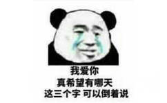 我爱你，真希望有哪天，这三个字可以倒着说