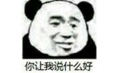 你让我说什么好