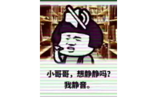 小哥哥，想静静吗？我静音。