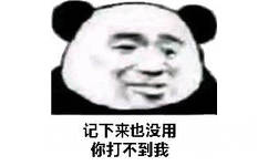 记下来也没用，你打不到我