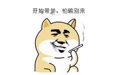 开始带单，怕输别来