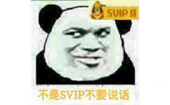 不是SVIP不要说话