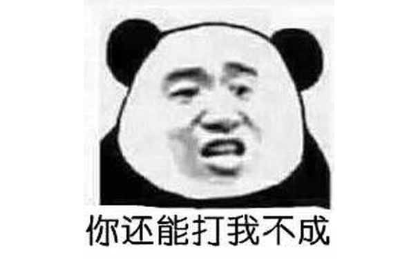 你还能打我不成