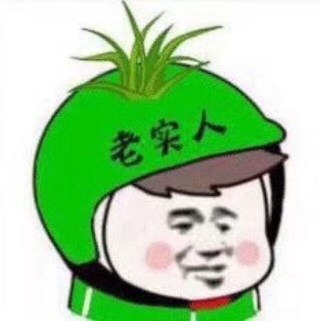 老实人