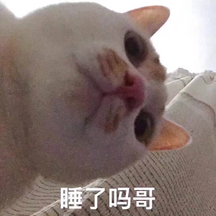 睡了吗？哥