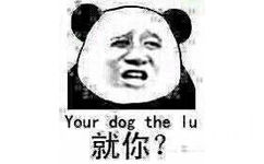 就你？（your dog the lu）