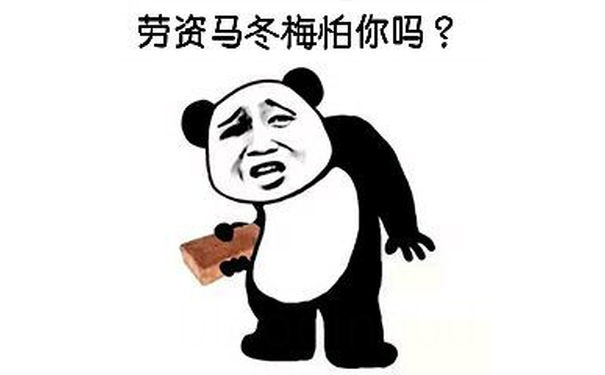 劳资马冬梅怕你吗？