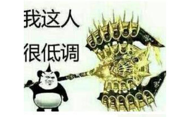 我这人很低调的