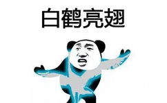 白鹤亮翅