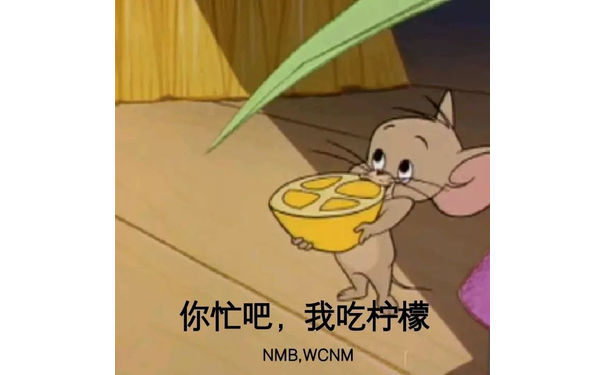 你忙吧，我吃柠檬（NMB，WCNM）