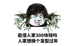 能借人家300块钱吗？人家想换个发型过年