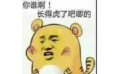 你谁啊！长得虎了吧唧的