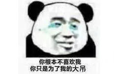 你根本不喜欢我，你只是为了我的大吊