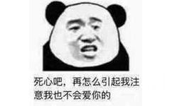 死心吧，再怎么引起我注意我也不会爱你的