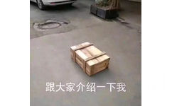 跟大家介绍一下我