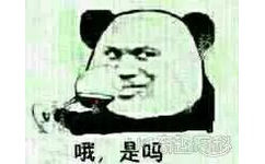 哦，是吗