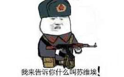 我来告诉你什么叫苏维埃