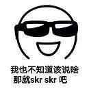 我也不知道该说啥那就skr skr吧