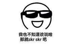 我也不知道该说啥那就skr skr吧