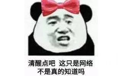 清醒点吧，这只是网络不是真的知道吗